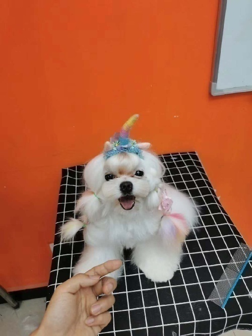 ˹ͿͳѧУȫ